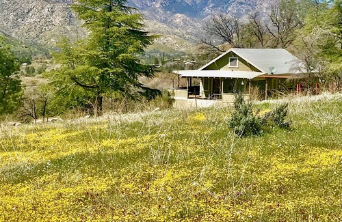 Kernville House | Secluded Yet Close! Meadow Oak Cabin, Kernville
