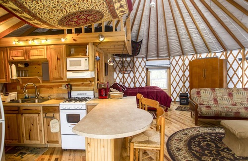 Asheville House | Secluded yurt on Blue Ridge Pwy & MTS Trl with hot tub, only 15min from downtown