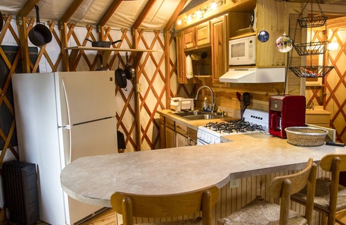 Asheville House | Secluded yurt on Blue Ridge Pwy & MTS Trl with hot tub, only 15min from downtown
