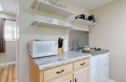 Baneberry Apartment | Second-floor, dog-friendly studio with gym & golf view - walk to Douglas Lake