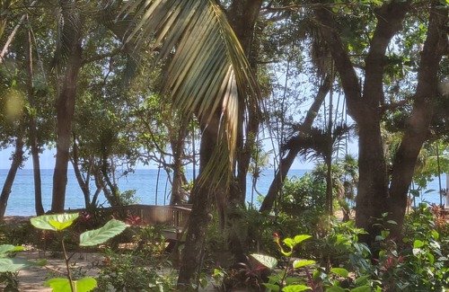 Palmetto Bay House | See the Blue Bay, duplex w/sea views, beach, pool & gated resort. Scuba & more!