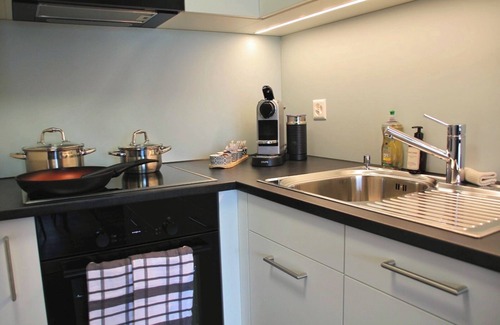 Faulensee Apartment | Seeblick 20min nach Interlaken