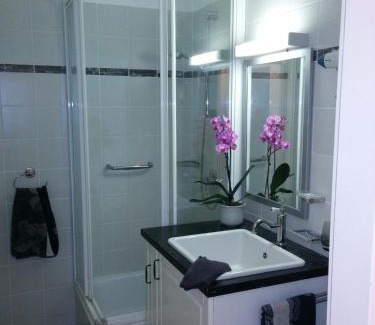 Gmunden Apartment | SEEBLICK APARTMENTS Im Zentrum
