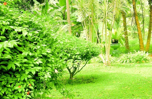 Bandaragama House | Seilka bungalow-find serenity and relaxation