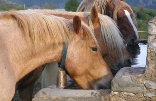 Campelles Cottage | Self catering Can Tubau for 6 people