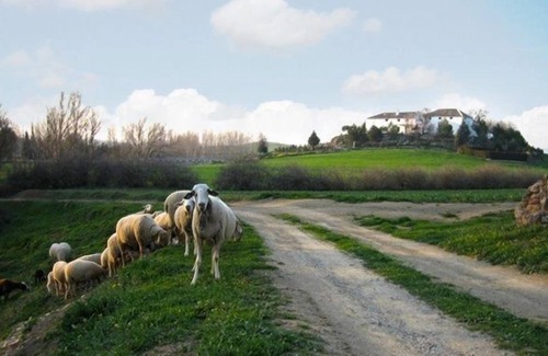 Alcala la Real Cottage | Self catering Cortijo La Gineta for 4 people