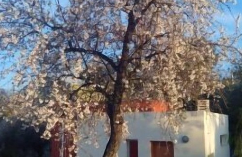 Calles Cottage | Self catering cottage La Aldea for 4 people