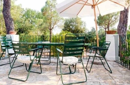 Selva di Fasano House | Selva Di Fasano: 'Trullo' with pine grove in Valle d'Itria