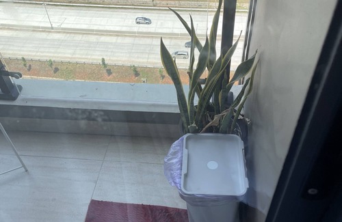 Bumi Serpong Damai Apartment | Sely apartment at skyhouse bsd