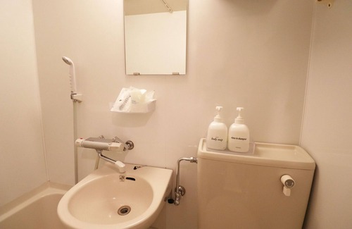 Kabukicho Hotel | semi double room /Shinjuku-ku Tokyo