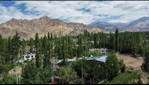 Leh House | Semskit Guest House