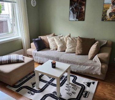Alesund Apartment | Sentralt Leilighet