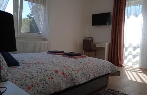 Barilovic Apartment | Seoski turizam Stari mlin na Korani room 1