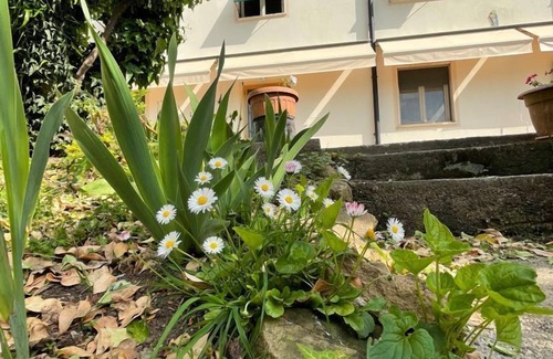 Massarosa House | Serenity in Nature