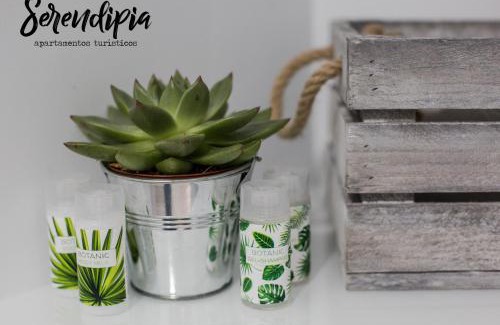 Margallo Apartment | Serendipia San Justo