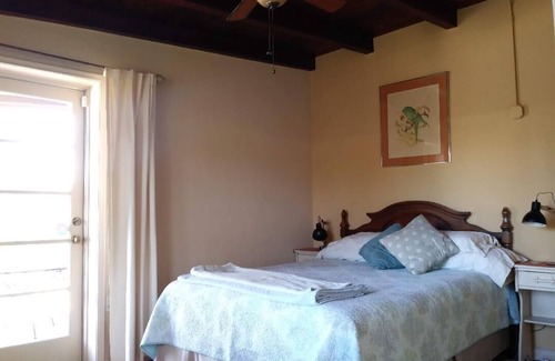 Tucson House | Serene and Charming, Private, Immaculate, Central, 2/1.5 Back yard and Pool