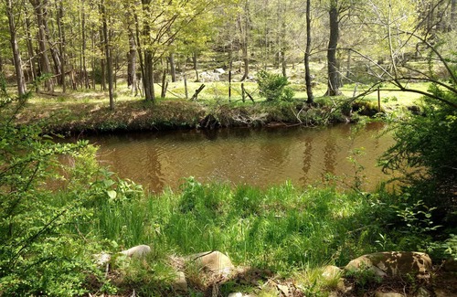 Mildred House | Serene Creek Frontage