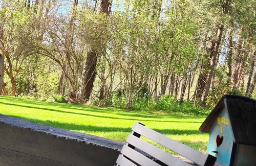 Colbert Apartment | Serene Hideaway near nature and the Little Spokane River