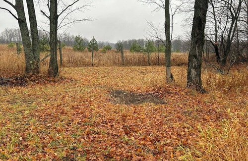 McMillan RV Rental | Serene Large Tents site with WiFi in McMillan