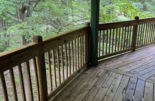 Ripley Apartment | Serene one bedroom tree top lodge along the wine trail.