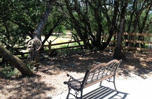 Sonoma Cottage | Serene Pied a Terre in the Wine Country (TOT 695N)