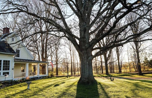 Addison Cottage | Serene, sun splashed cottage