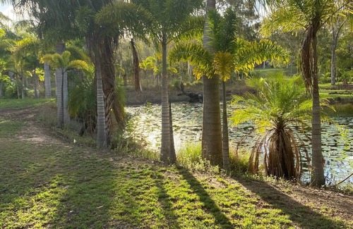 Agnes Water Apartment | Serenity a Tropical oasis set on 4 acres of land with pool.