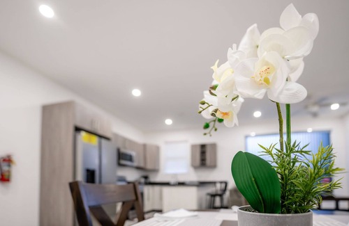 Runaway Bay Apartment | Serenity Haven: Your Ultimate Runaway Bay Escape