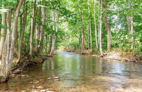 Weaverville House | Serenity Views Retreat - Close to City and Parkway!