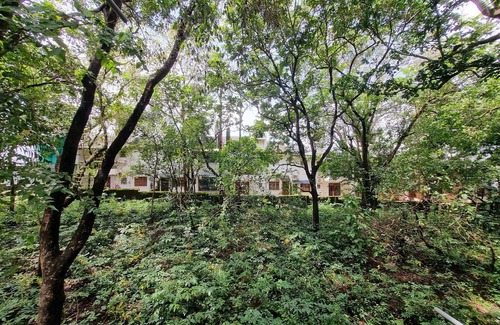 Marna Apartment | Sereno By Dancenter 1bhk Apartment In Siolim