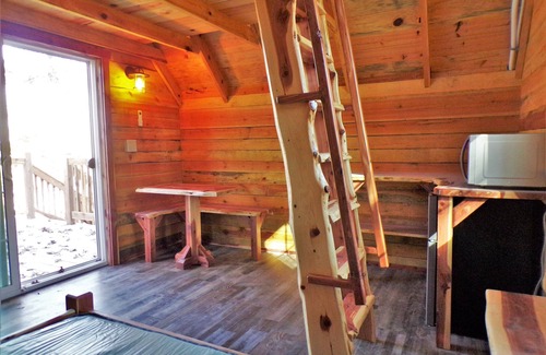 Potosi Cabin | Shady Pine Primitive Cabin 2 @Spring Lake Ranch