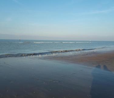 Oostduinkerke-Bad Apartment | Shamrock Oostduinkerke
