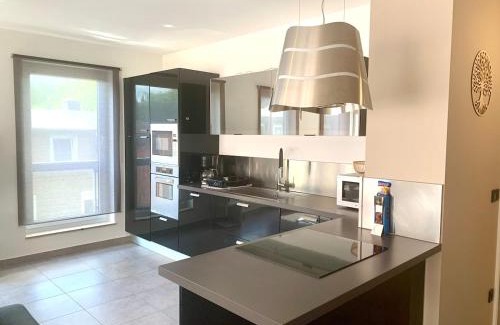 Esch-sur-Alzette Apartment | Shanti - Sérénité