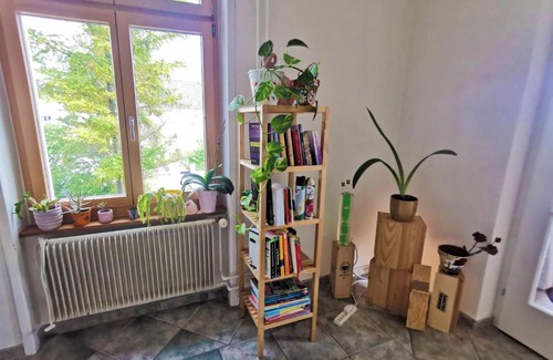 Munchenstein House | Shared room in nice apartment 1