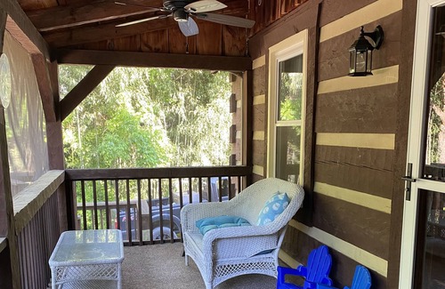 Fishers Hill Cabin | Shenandoah river front cabin, hot tub, fireplace, cabin, screened in porches.
