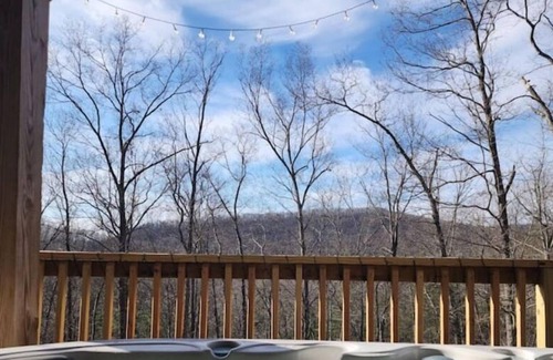 Buchanan Apartment | Shenendoah Gateway Getaway!