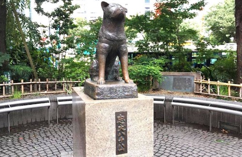 Higashi Apartment | Shibuya Station Charming Place 8min walk 3ppl B102 - B102/Shibuya-ku Tokyo