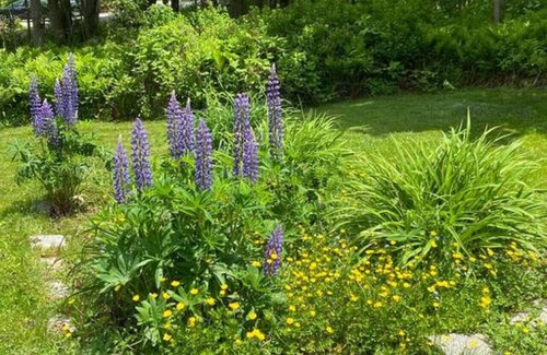 Vinalhaven House | Shirley's House-Beautiful In Town House