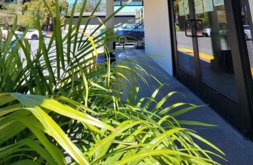 Newhall House | Shopping Spree at Westfield Valley Fair Shopping Mall and Santana Row! Parking