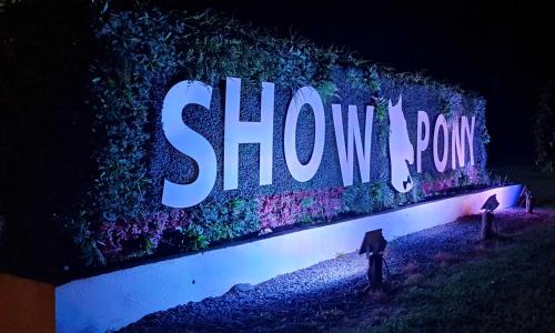 El Jobo Hotel | Show Pony Ranchero Resort - Boutique Beach Hotel