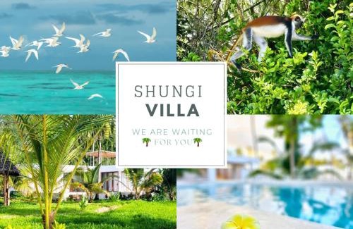 Jambiani Villa | Shungi Villa Zanzibar Trips Included from 3 nights