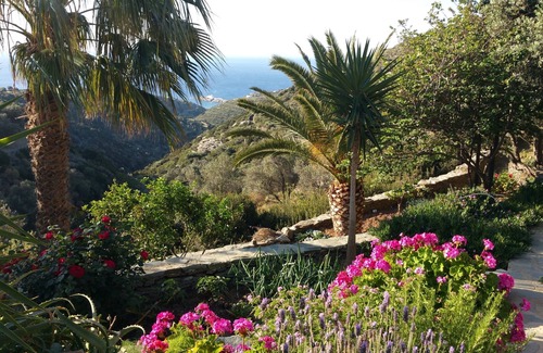Platis Gialos House | SIFNOS house - part or the whole ! for up to 8 persons