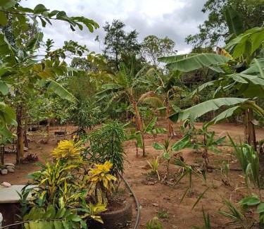 Dambulla Bed & Breakfast | Sigiri Wild Lake Dambulla