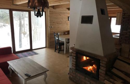 Horna Lehota Ski Chalet | Silent Hill 4