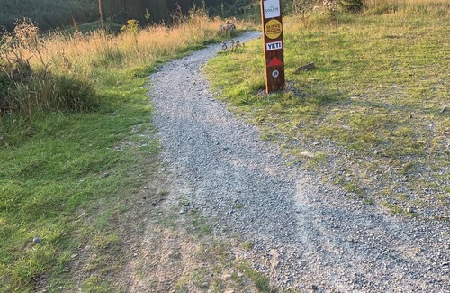 Kinnitty Cabin | Silver Bloom Cabin, a peaceful retreat in Kinnitty’s Slieve Bloom Mountains