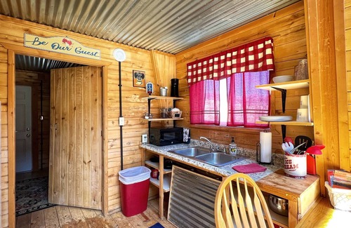 Creede Cabin | Silvery Lupine Cabin 5 - 2 bedrooms in Creede, Colorado