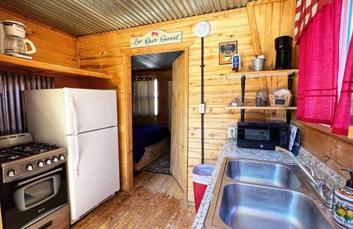 Creede Cabin | Silvery Lupine Cabin 5 - 2 bedrooms in Creede, Colorado