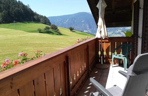 Albions Apartment | Simple accommodation in a quiet location in the middle of nature