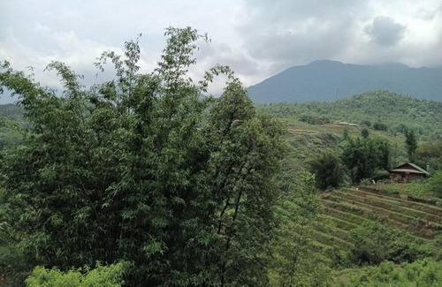 Cat Cat Village Cabin | Sin Chai View Eco