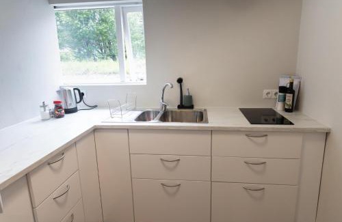 Selfoss House | Singasteinn guesthouse